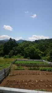 ふじの温泉病院景色