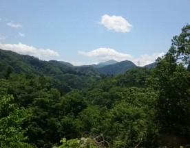 ふじの温泉病院景色